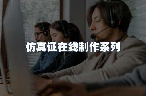 仿真证在线制作